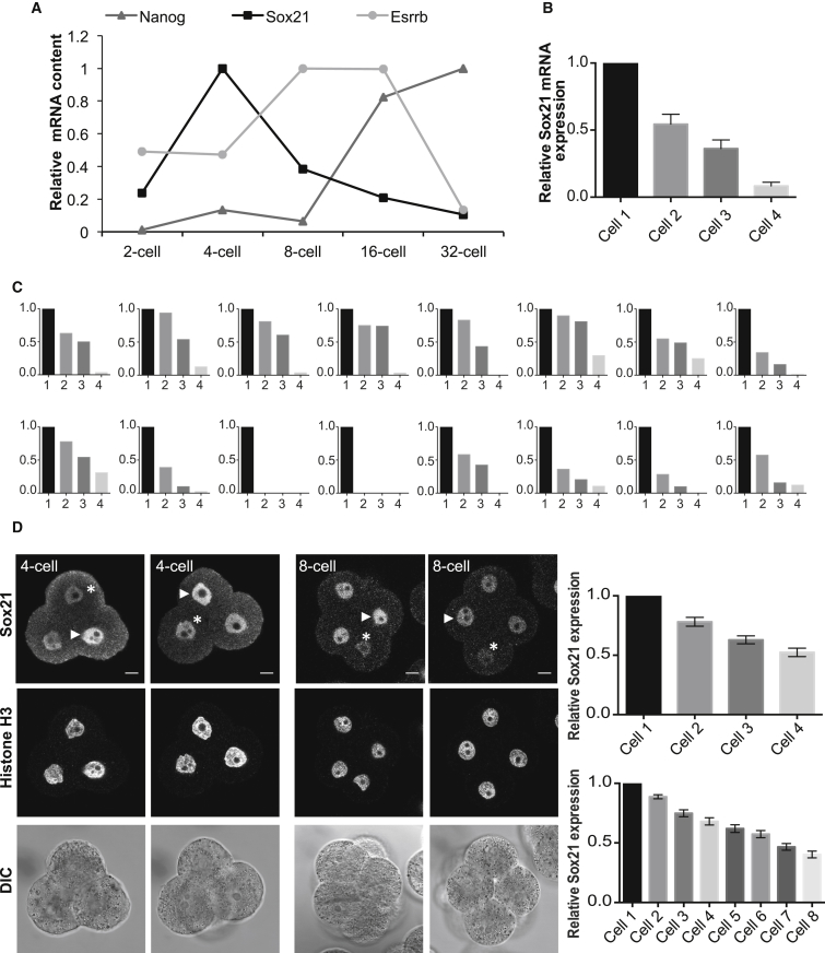 Figure 3