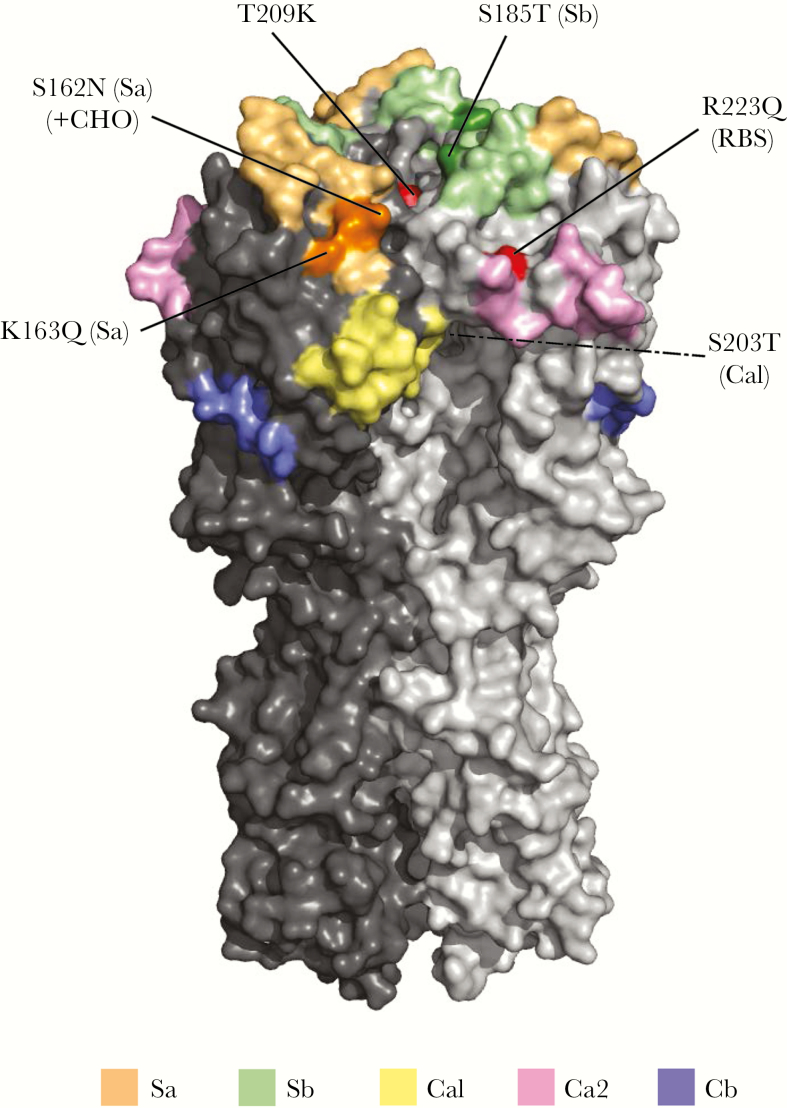 Figure 1.