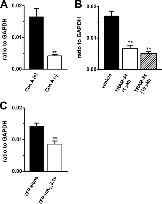 FIGURE 9.