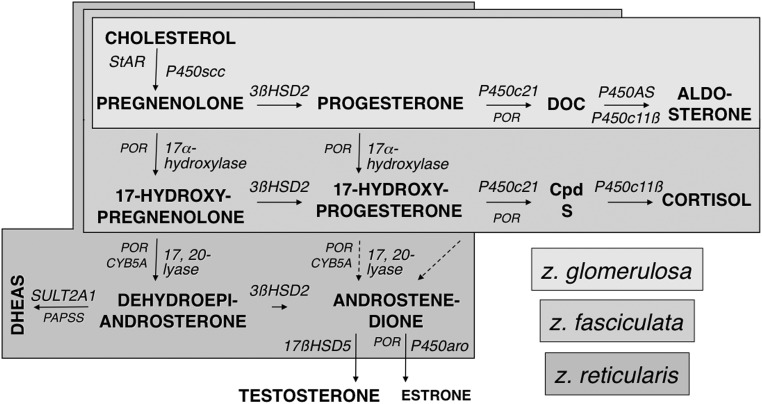 Figure 2.