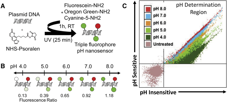 Figure 1