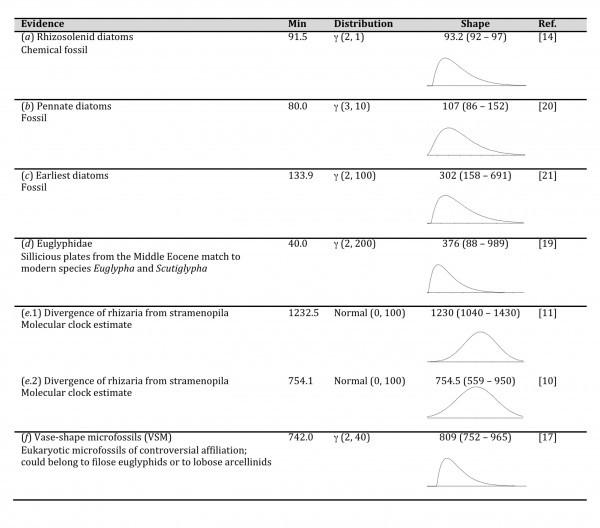Evidence: used to derive priors for calibration constraints; Min: Minimal divergence time (Offset parameter in BEAUTi) in Myr; Distribution: Used to model each prior together with their respective parameter values (alpha α and beta β for gamma γ and mean and sigma σ for normal distributions); Shape: shows the median for each distribution and the values containing the 2.5% and 97.5% quantiles. Stronger priors span few years between the 2.5% and 97.5% quantiles.