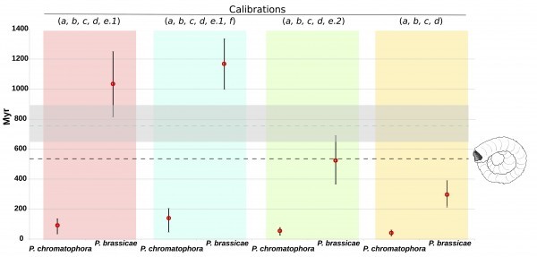 Only calibration schemes assuming a time divergence of rhizaria from stramenopila of ~1232 Myr (e.1) are consistent with the fossil record and proposed time divergence of forams. The horizontal black broken line represents the date of the oldest foram fossil at 545 Myr. The blue broken line represents the estimated origin of forams 770 Myr (650 – 920).