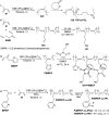 Scheme 22
