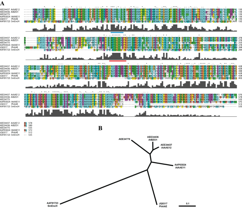 Fig. 2.