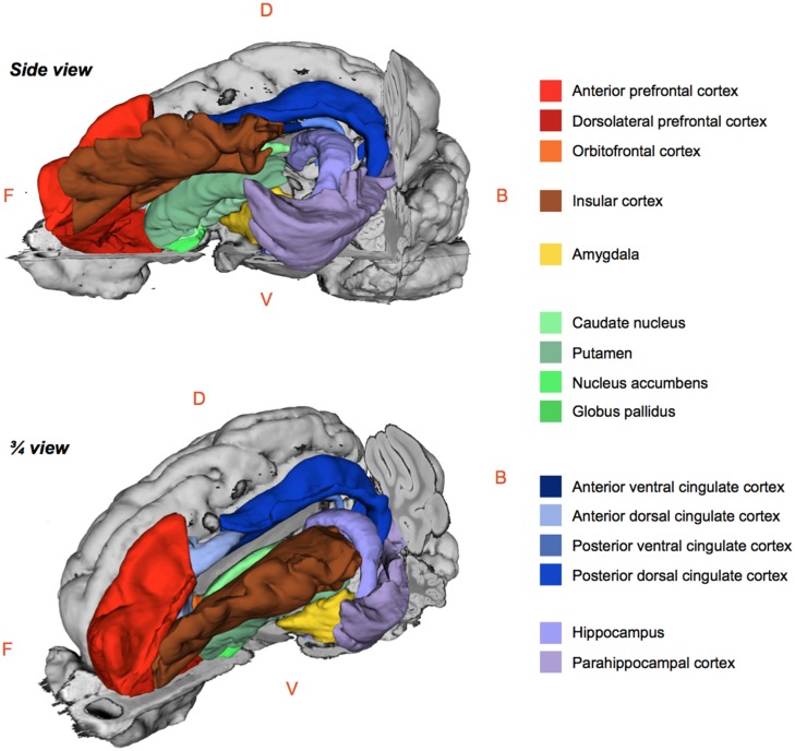 FIGURE 3