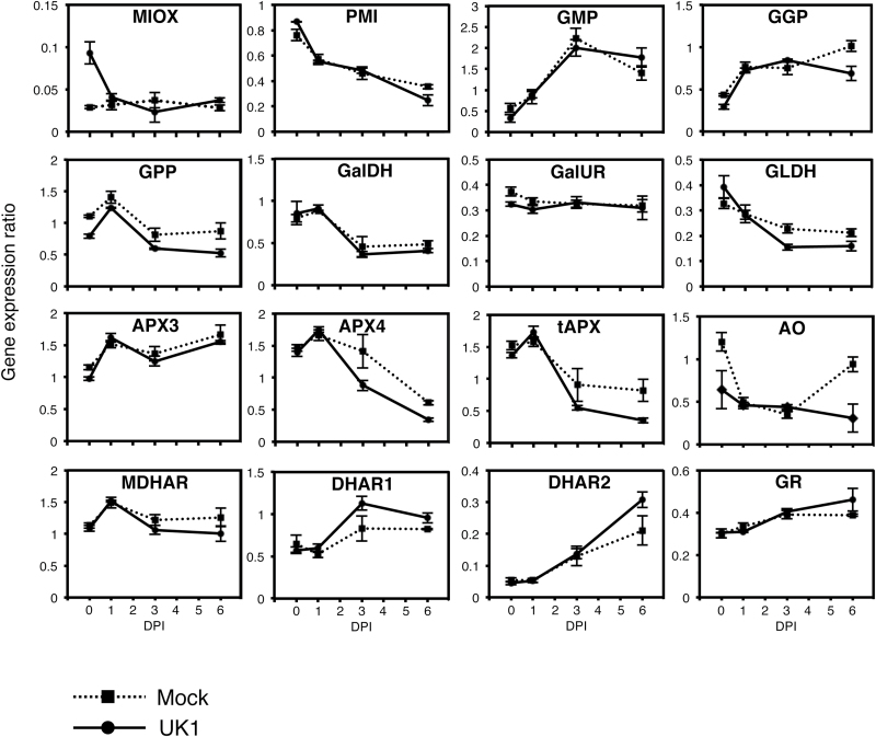 Fig. 4.