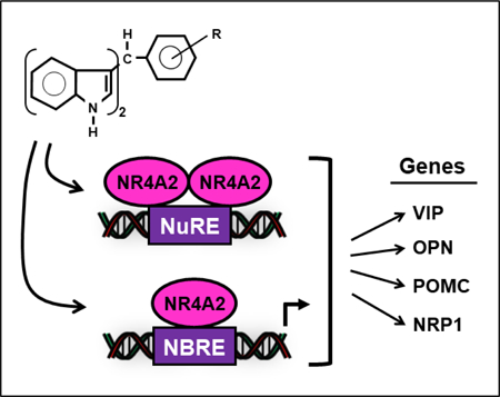 graphic file with name nihms-1030706-f0001.jpg