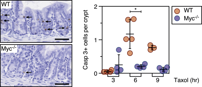 Figure 6