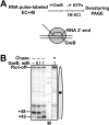 Fig. S4.