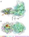 Fig. 6.