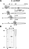 Fig. S3.