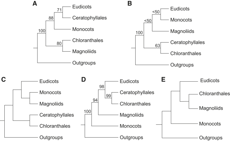 Figure 1