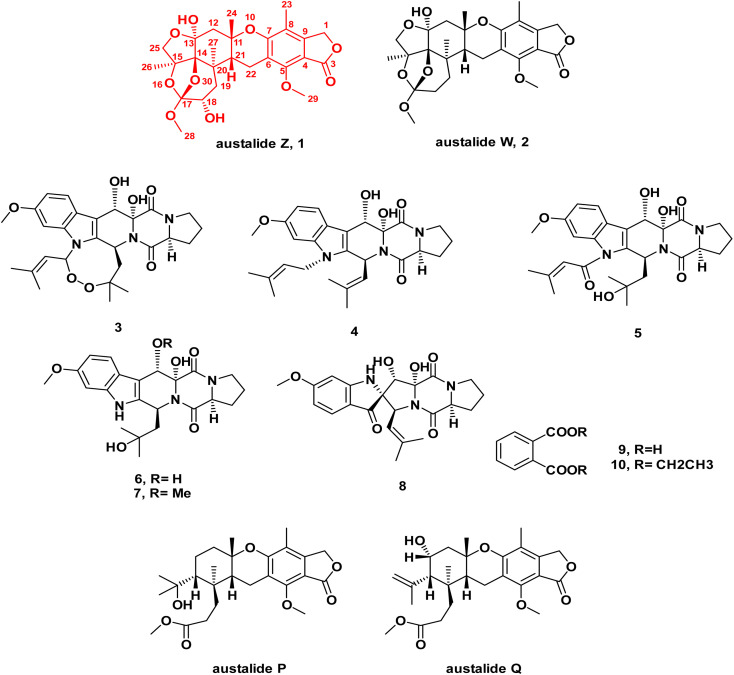 Fig. 1