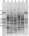 FIG. 5.