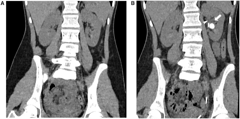 FIGURE 1: