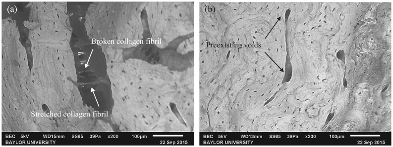 Fig. 14