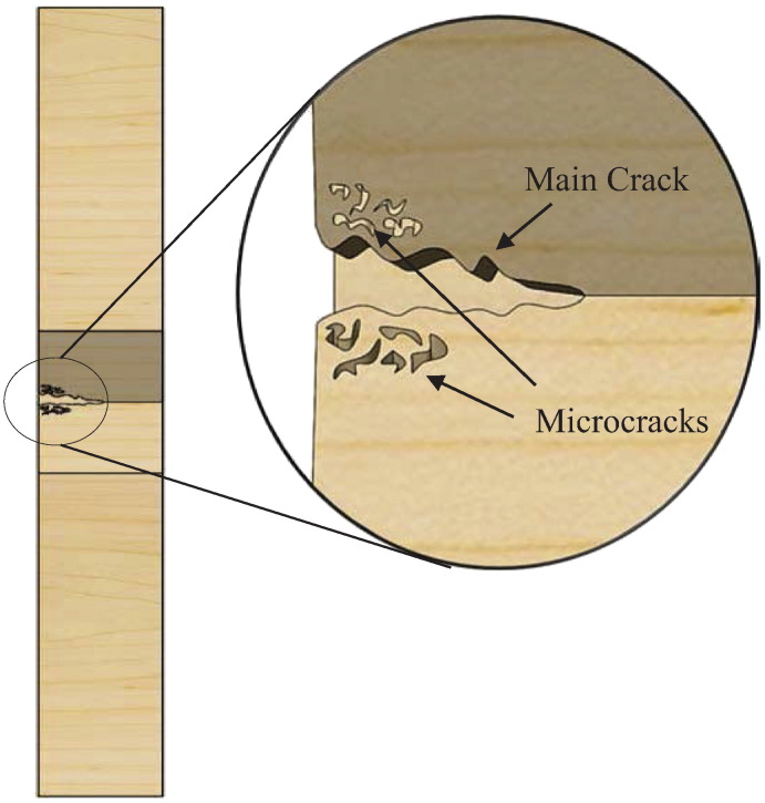 Fig. 15