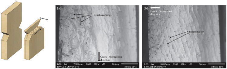 Fig. 11