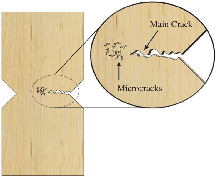 Fig. 13