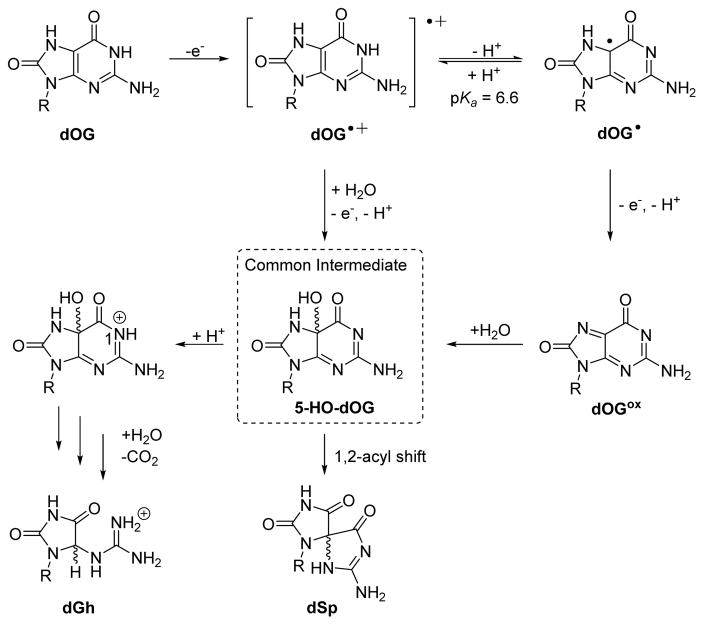 Scheme 3