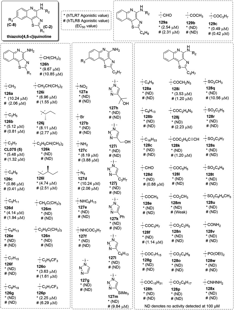 Fig. 20