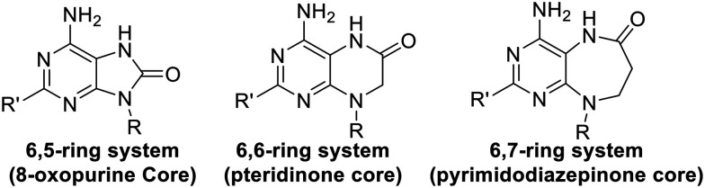 Fig. 43