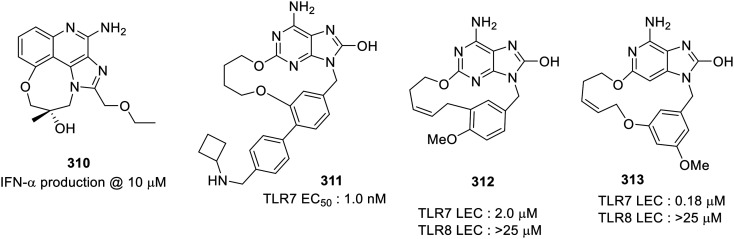 Fig. 53