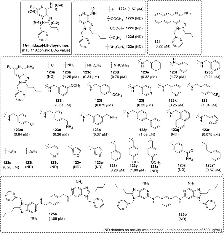 Fig. 19