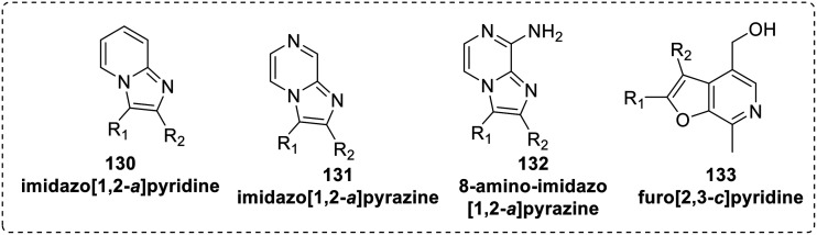 Fig. 21