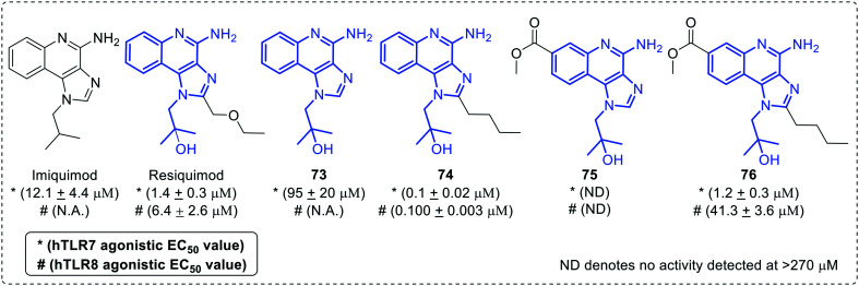 Fig. 13