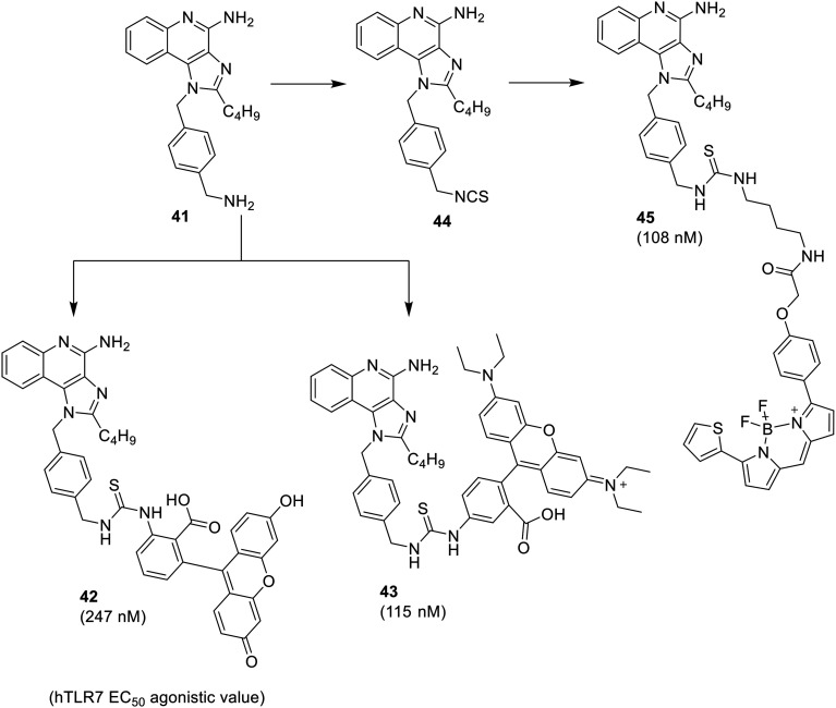 Fig. 6