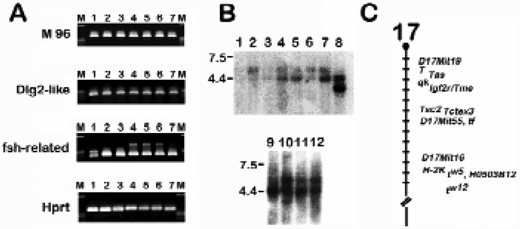 Fig. 5