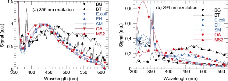 Fig. 10