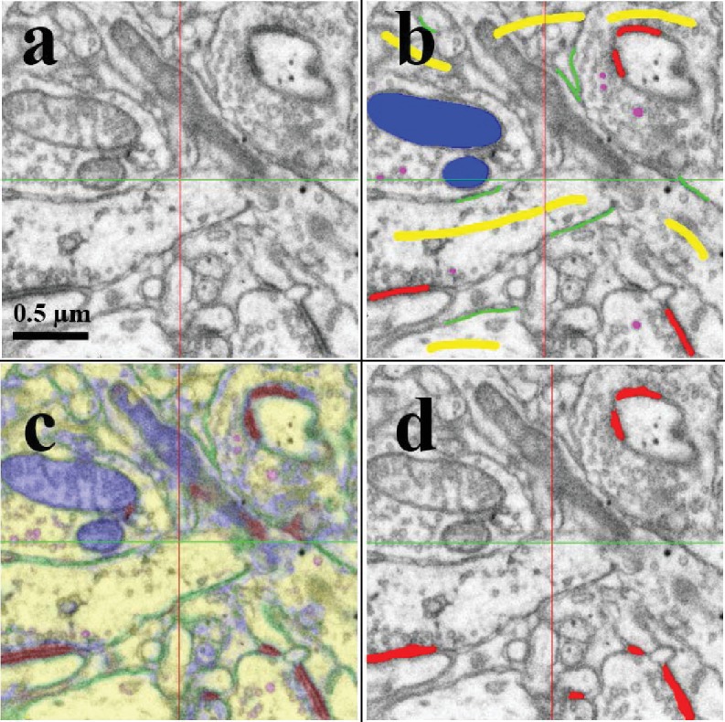 Figure 4—figure supplement 2.