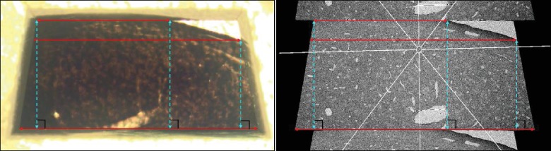 Figure 1—figure supplement 3.