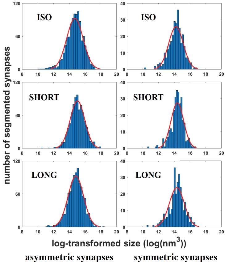 Figure 4—figure supplement 1.