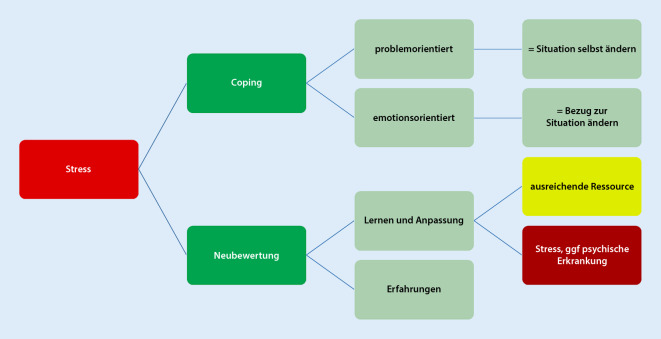 graphic file with name 104_2023_1977_Fig2_HTML.jpg