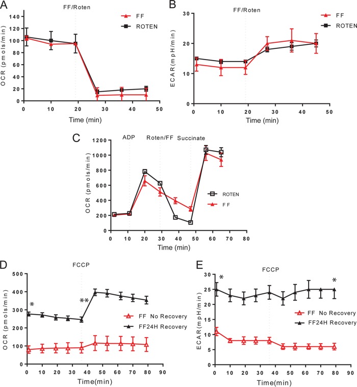 FIG 3