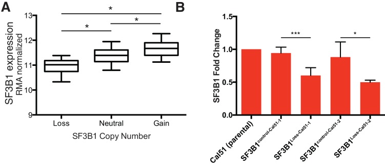 Figure 3—figure supplement 1.