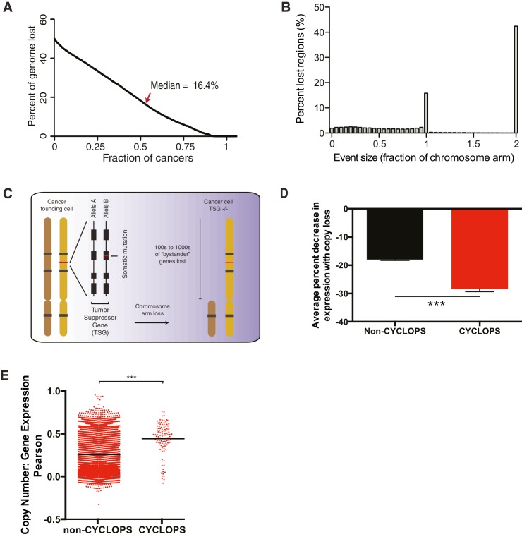 Figure 1—figure supplement 1.