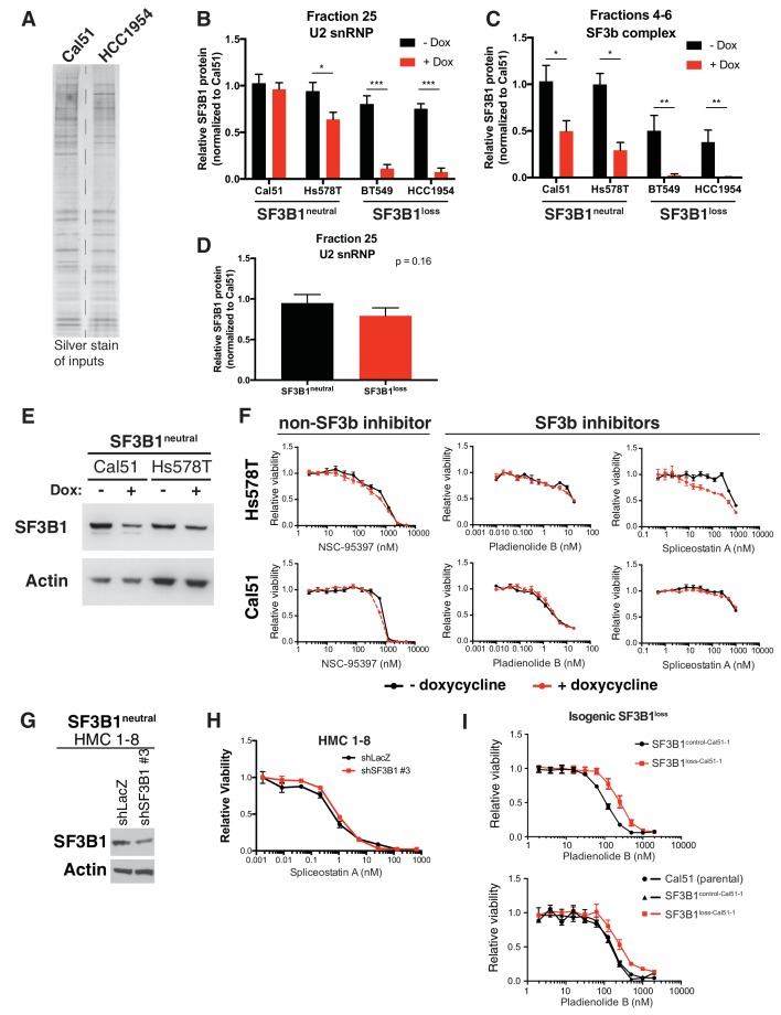 Figure 5—figure supplement 1.