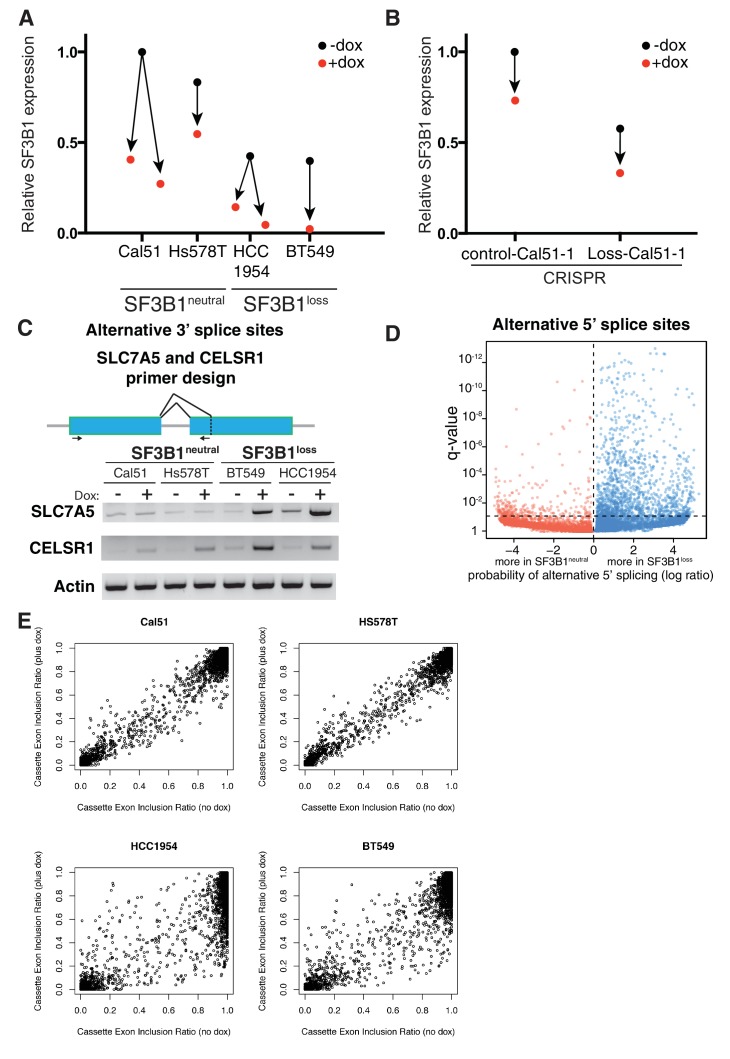 Figure 6—figure supplement 1.