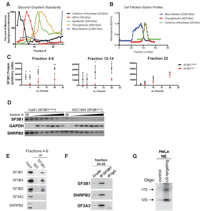 Figure 4—figure supplement 1.