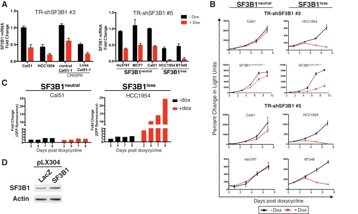 Figure 2—figure supplement 2.