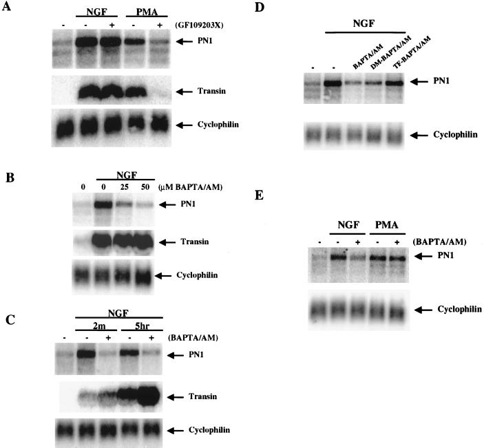 FIG. 8