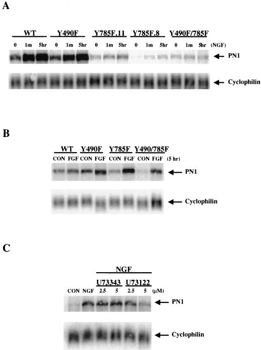 FIG. 3