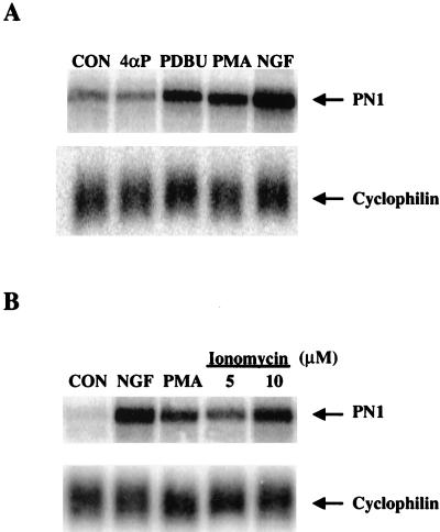 FIG. 7