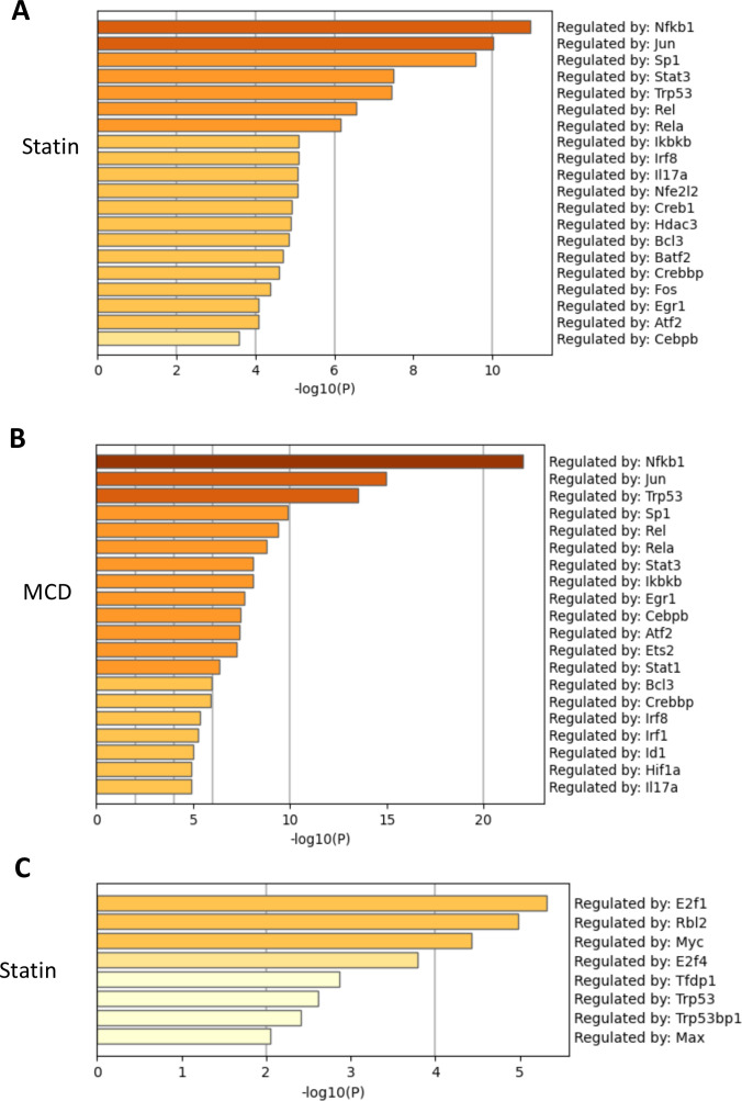 Figure 1—figure supplement 1.