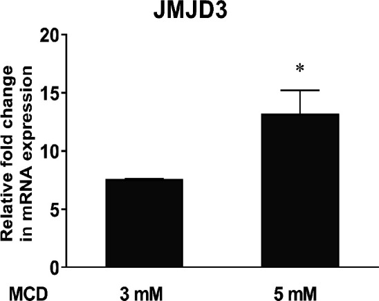 Figure 8—figure supplement 1.